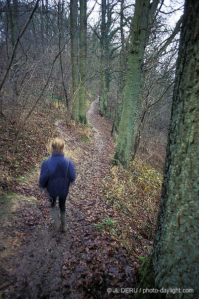 promenade dans la fort - walk in the forest